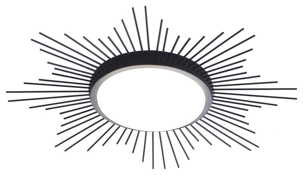 Modern 1-Light Geometric Circle Ceiling Light LED Flush Mount Light, Black