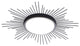 Modern 1-Light Geometric Circle Ceiling Light LED Flush Mount Light, Black