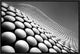 "Curve" Framed Canvas Giclee by Linda Wride, 23x16"