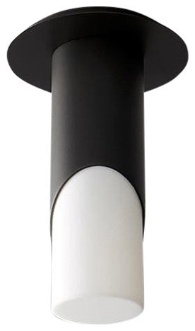 Ellipse Ceiling Light in Black