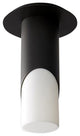 Ellipse Ceiling Light in Black