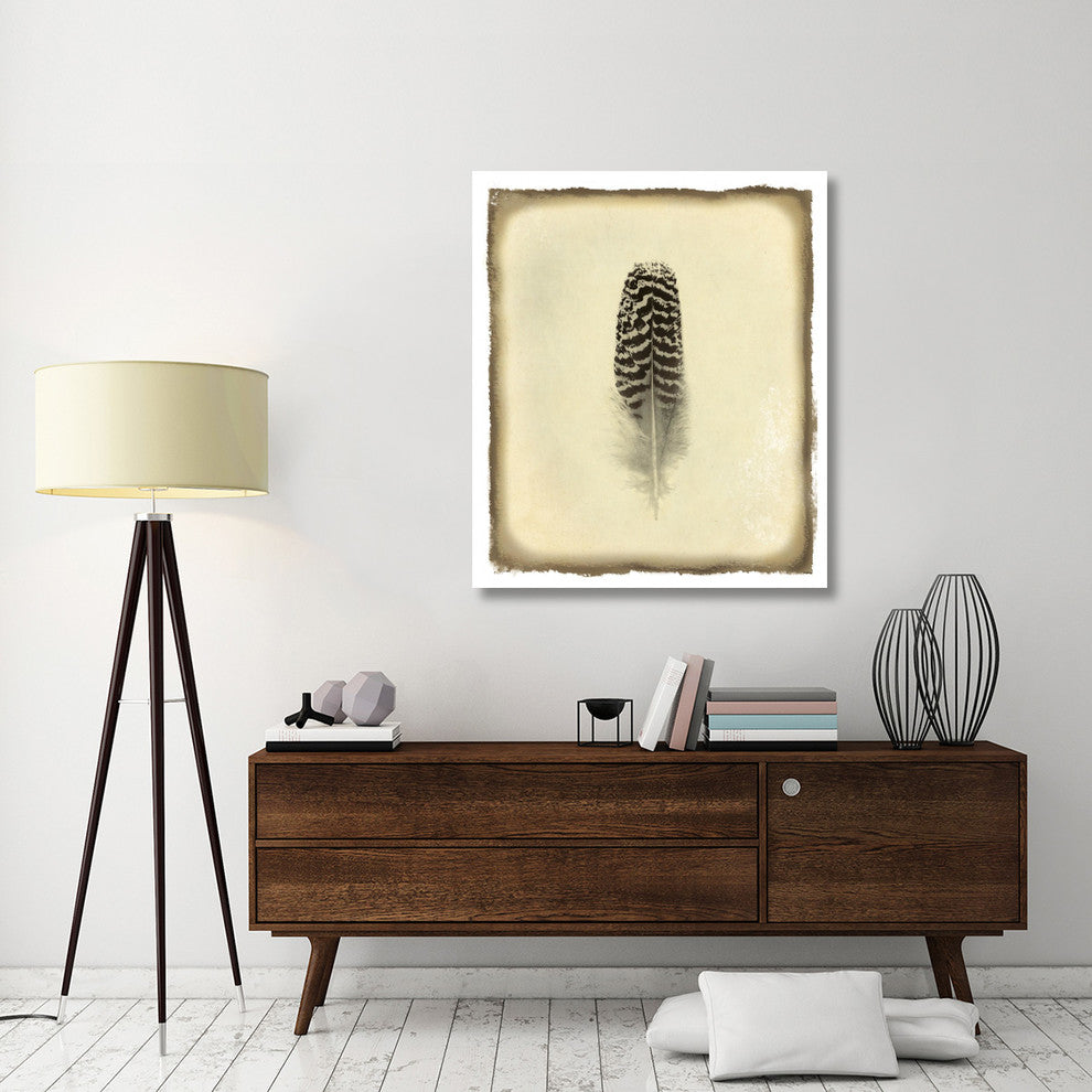"Feather I Vintage" Digital Paper Print by Debra Van Swearingen, 39"x46"