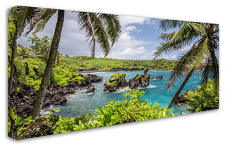 Pierre Leclerc 'Tropical Paradise Maui' Canvas Art, 19x10