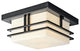 Outdoor Ceiling 2-Light, Standard