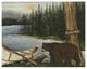 "Northwoods Bear Crop" Digital Paper Print by David Carter Brown, 22"x18"