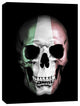 Cortesi Home "Italian Skull" by Nicklas Gustafsson, Giclee Canvas Art, 40"x54"