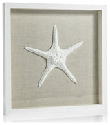 Aran White Framed Starfish Wall Decor