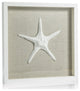 Aran White Framed Starfish Wall Decor