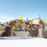 Horn Rimmed Bookends