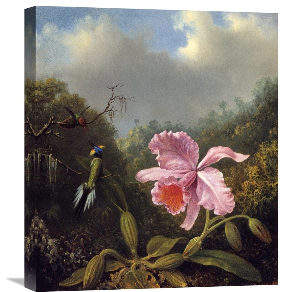 "Fighting Hummingbirds With Pink Orchid" Artwork