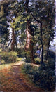 Adolfo Tommasi In the Woods, 18"x27" Wall Decal Print