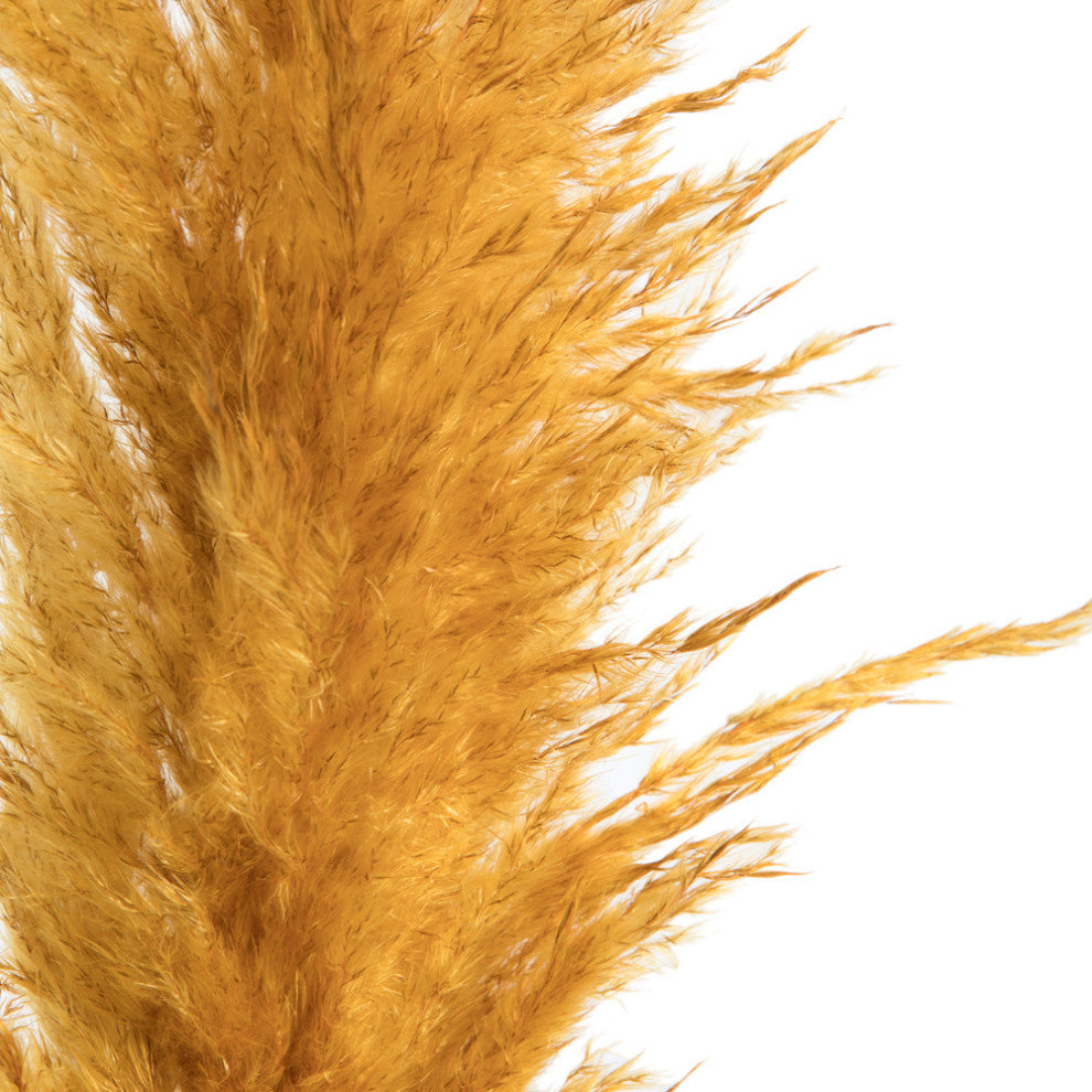 Vickerman 46" Dried Pampas Grass, Aspen Gold
