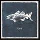 "Cod" Framed Painting Print, 32x32
