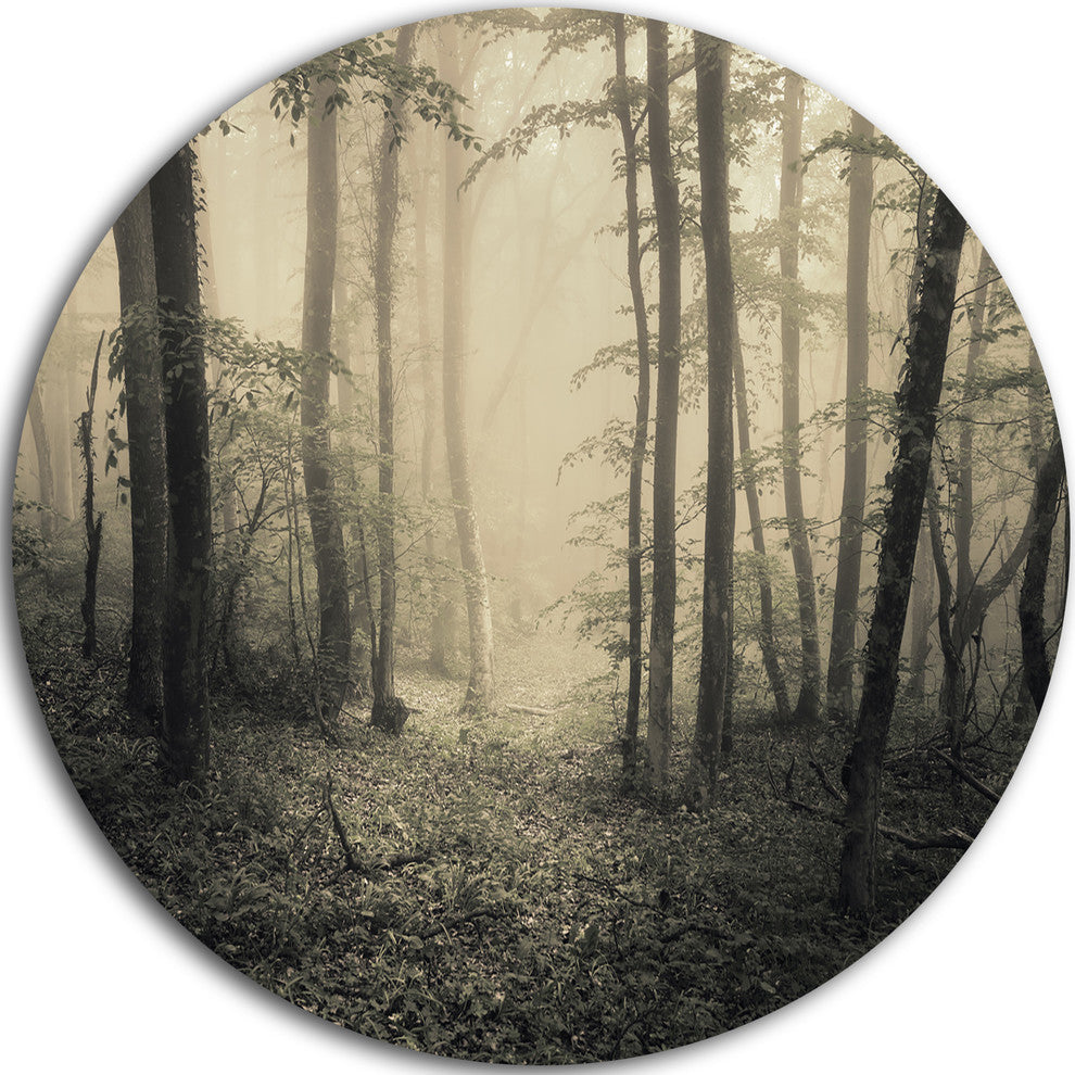 Vintage Style Spring Forest, Landscape Photo Disc Metal Artwork, 23"