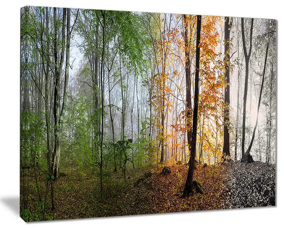 "Morning Forest Panorama" Canvas Print