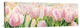 "Primavera" Stretched Canvas Giclee by Luca Villa , 36x12"