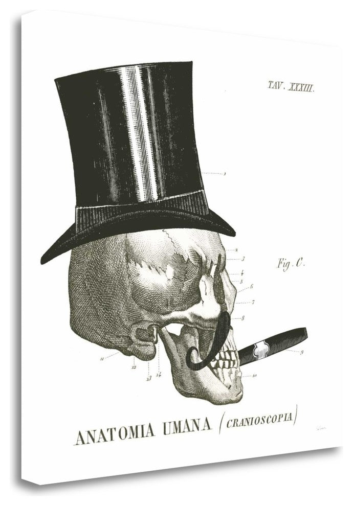 "Dandy Bones III" By Sue Schlabach, Giclee Print on Gallery Wrap Canvas