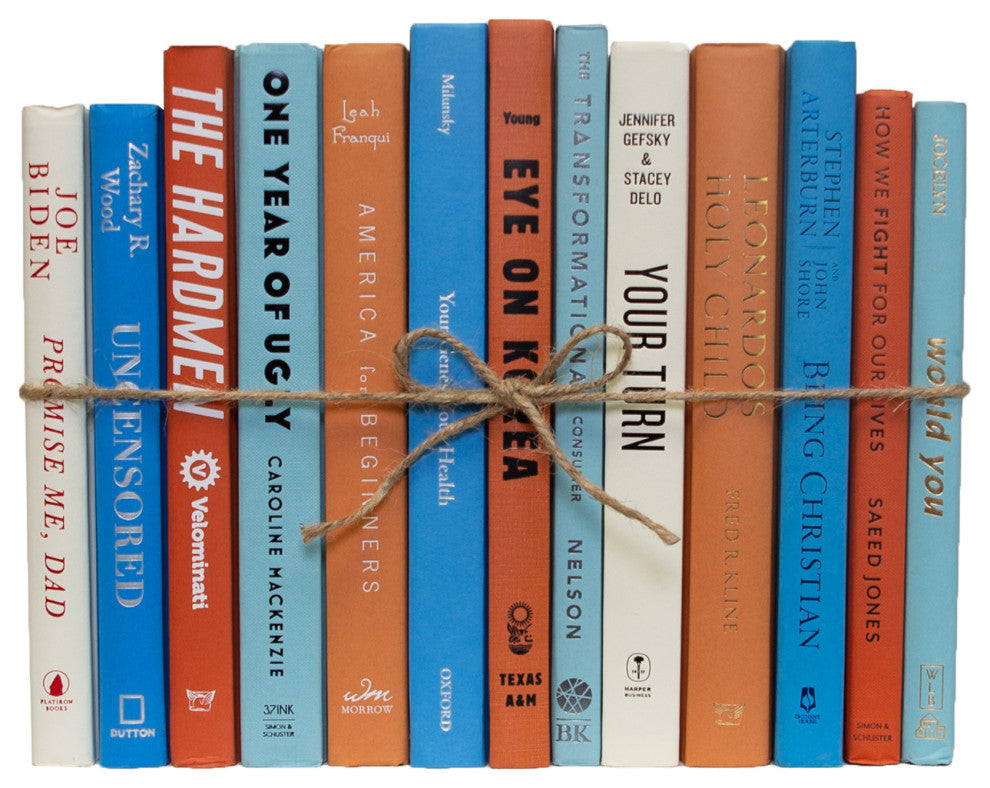 Decorative Books - Rustic Book Bundle - 1 foot of Blue Books