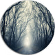 Dark Autumn Forest In Fog, Modern Photography Disc Metal Artwork, 23"