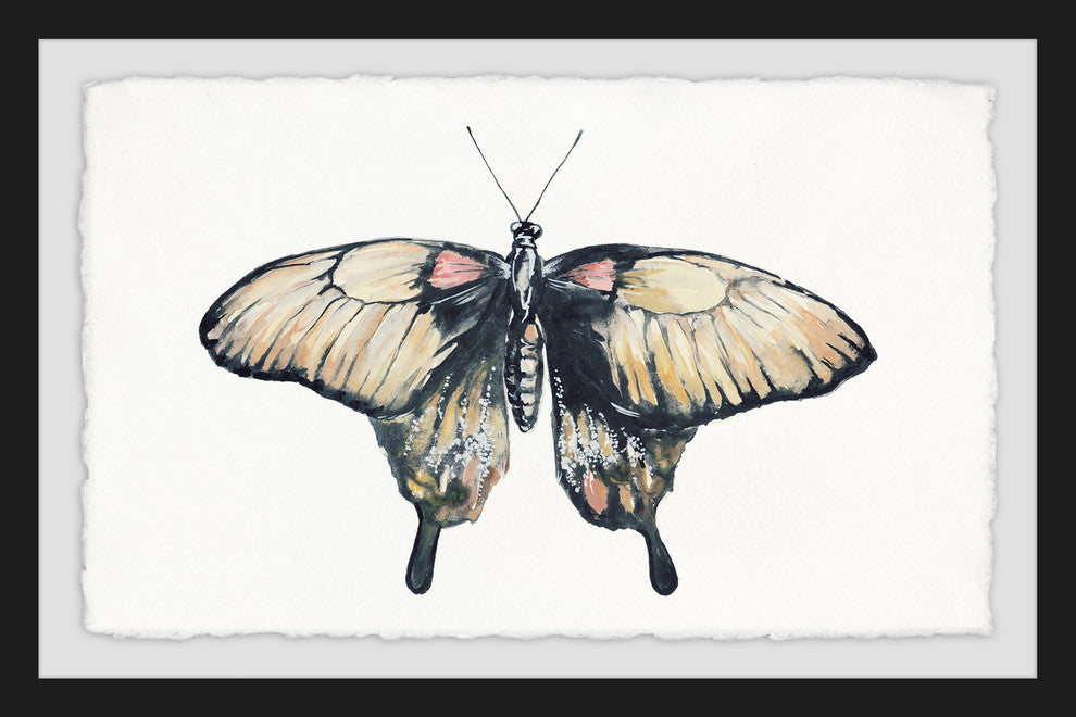 "Cream Colored Wings" Framed Painting Print, 18"x12"