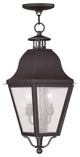 Livex 2546-07 2-Light Bronze Outdoor Chain Lantern, Bronze