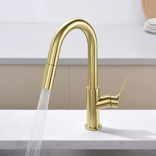 Fusion Single Handle Pull Down Kitchen & Bar Sink Faucet, Brushed Gold