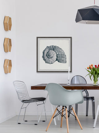 "Sturdy Shell" Framed Painting Print, 18"x18"
