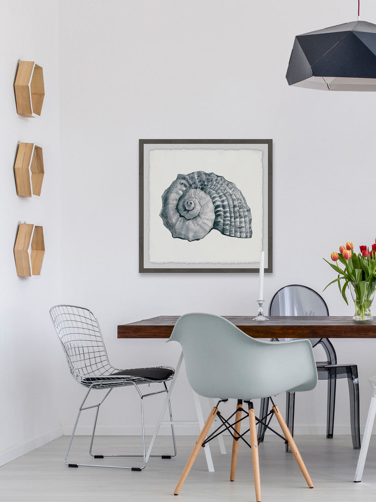 "Sturdy Shell" Framed Painting Print, 18"x18"