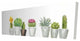Mini Cactus and Succulents Print on Wrapped Canvas