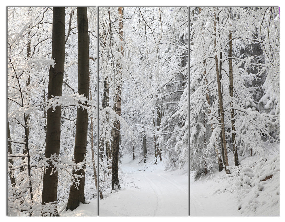 Dense Winter Forest and Lane, Large Forest Triptych Canvas Art, 36x28, 3 Panels