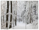 Dense Winter Forest and Lane, Large Forest Triptych Canvas Art, 36x28, 3 Panels