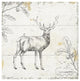 "Wild and Beautiful V" Digital Paper Print by Daphne Brissonnet, 20"x20"