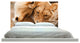 "Lion Mates" Headboard