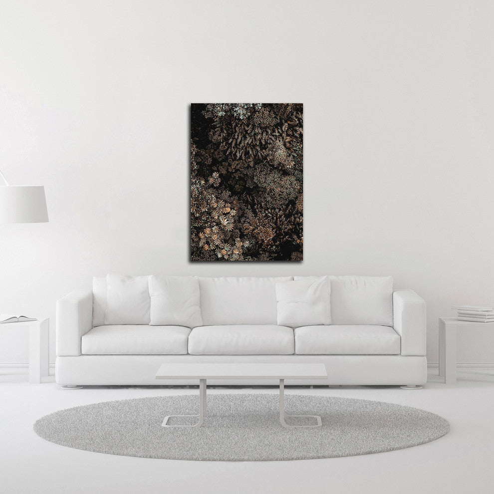 Secret 11 by Design Fabrikken, Print on Canvas, 20"x28"