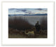 Dog, Boy and St. John River, 1958