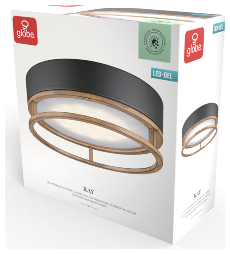 Ray Black 18.5W Flush Mount Ceiling Light