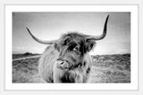 "Away from Herd" Framed Art Print, 61x41 cm
