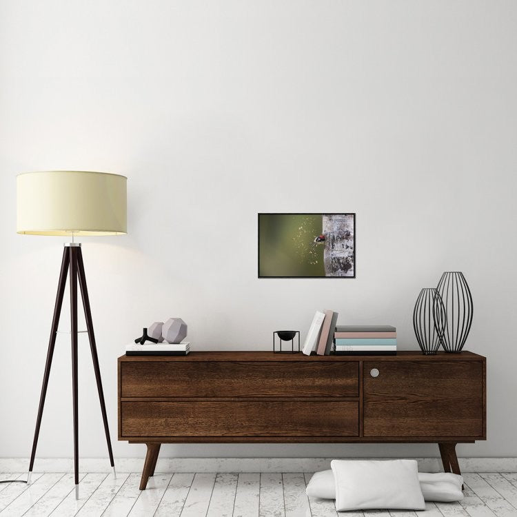 "Spring Cleaning" Framed Canvas Giclee by Olof Petterson, 23x15"