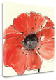 "Spring Poppy IV" By Chris Paschke, Giclee Print on Gallery Wrap Canvas