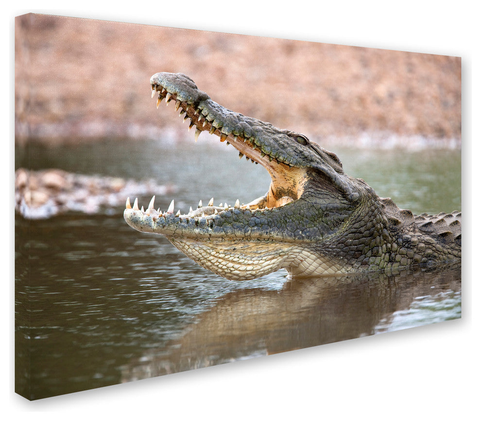 "Alligator" by Robert Harding Picture Library, Canvas Art, 22"x32"