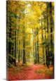 "Paintography Wood" Wrapped Canvas Art Print, 24"x36"x1.5"