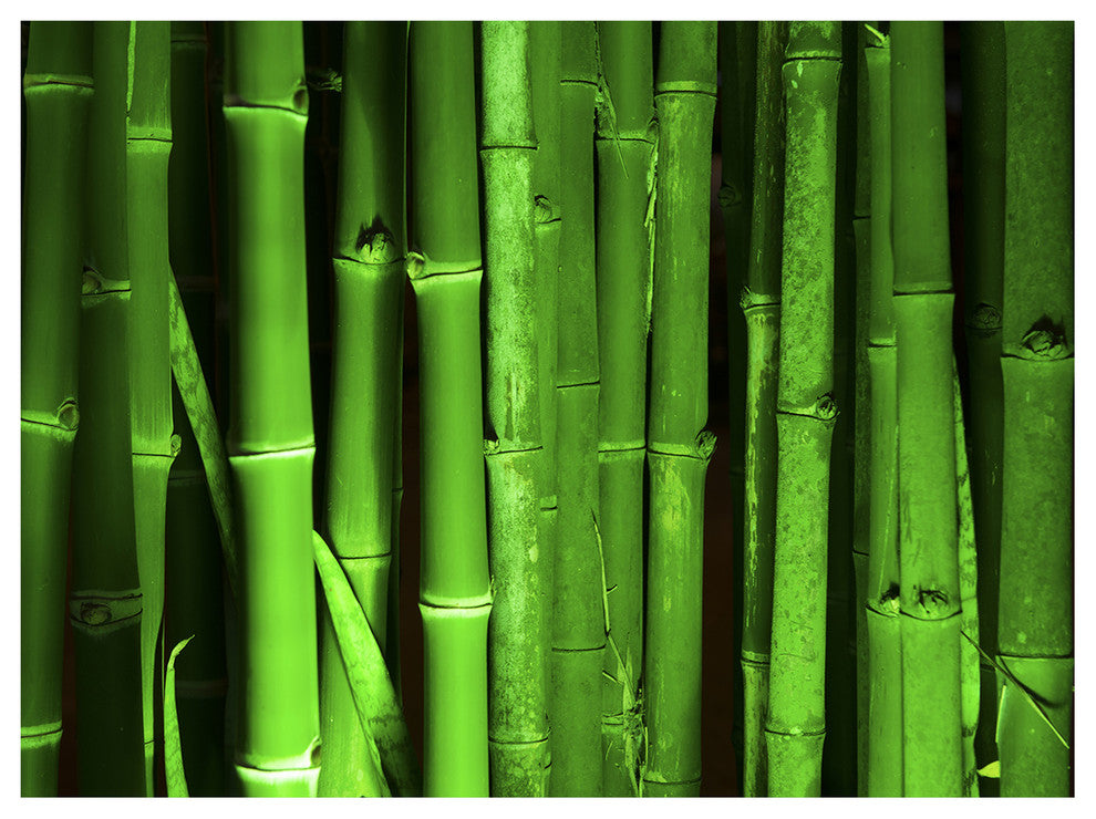 Green Bamboo Forest, Floral Canvas Art Print, 40"x30"