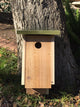 Bird House With Slant Roof, Green