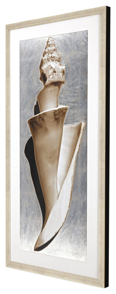 Modern Shell II Framed Art