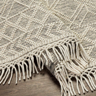 Surya Hemingway HMG-2300 Hand Woven Wool and Polyester Area Rug