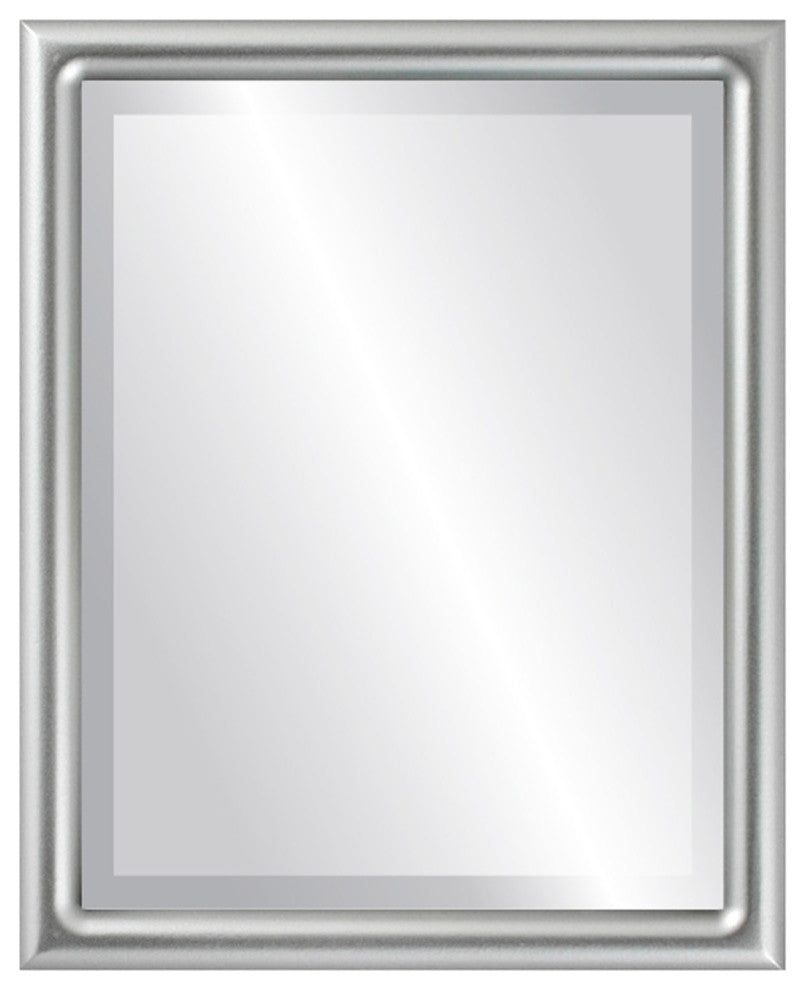 Pasadena Framed Rectangle Mirror, Silver Spray, 17"x21"