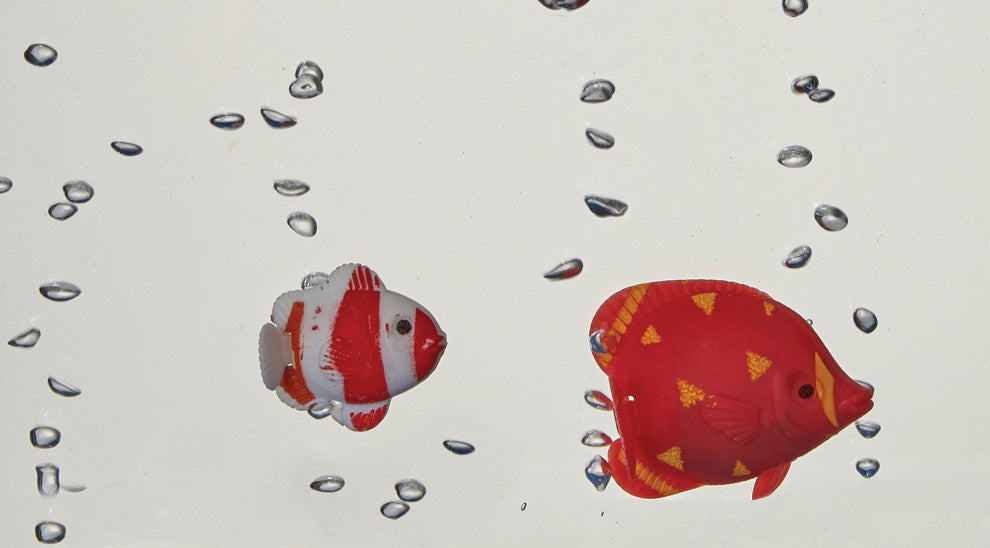 Aquarium Light Box