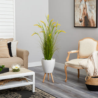 Shown in a living room environment; complete product visible in lifestyle context.