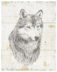"Wild and Beautiful III" Digital Paper Print by Daphne Brissonnet, 30"x37"