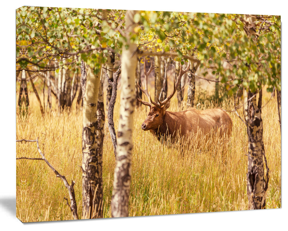 Deer in Thick Forest Grassland, Oversized Landscape Canvas Art, 40"x30"